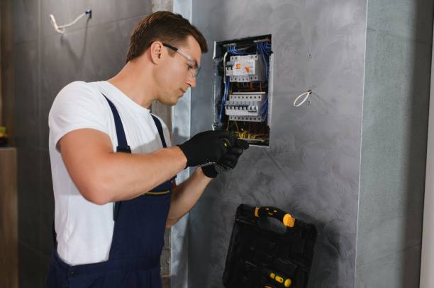 Best Electric Panel Repair  in Brookside, NJ